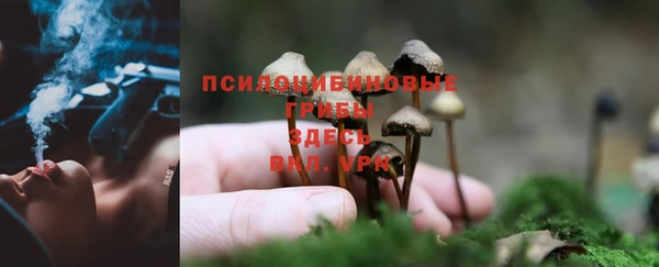винт Абаза