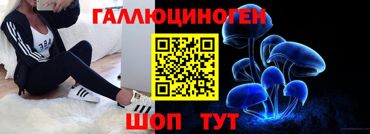 Донской  хочу наркоту  Вход с VPN  Галлюциногенные грибы мицелий 